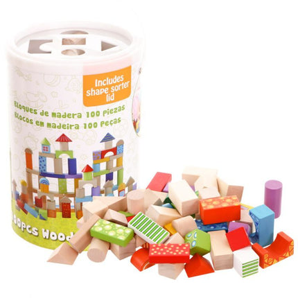 Ecotoys 100-delige kleurrijke houten blokkenset met sorteerder - Vanaf 18 maanden