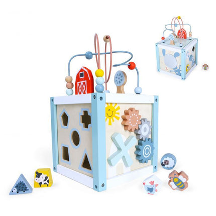 Ecotoys houten activiteiten kubus sorteerder - Educatief speelgoed voor handvaardigheid ontwikkeling - Geschikt vanaf 18 maanden