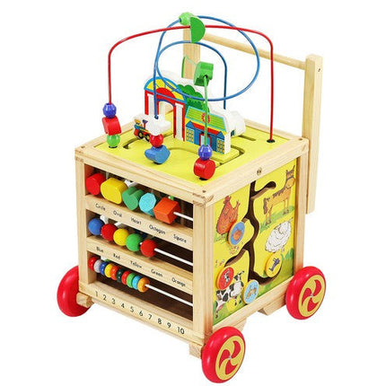 Houten educatieve baby loopwagen geschikt vanaf 12 maanden