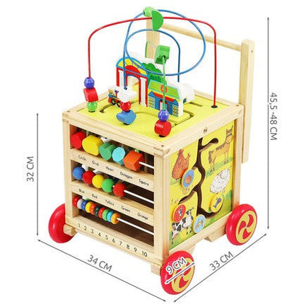 Houten educatieve baby loopwagen geschikt vanaf 12 maanden