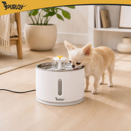 Drinkfontein Kat & Hond 2,4 Liter – Automatische Waterfontein met Filter & LED