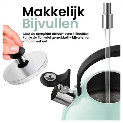 Florina Brillo fluitketel RVS mint groen 2.5 Liter - ook geschikt voor inductie