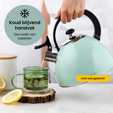 Florina Brillo fluitketel RVS mint groen 2.5 Liter - ook geschikt voor inductie