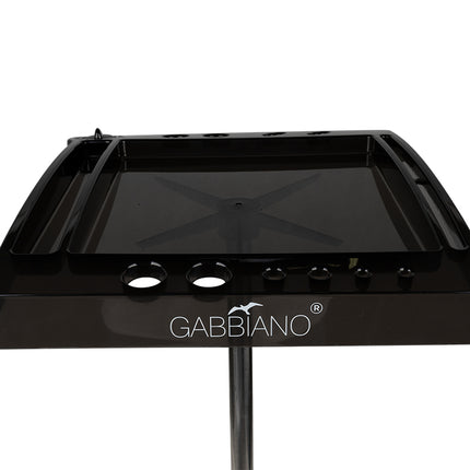2-GABBIANO-2