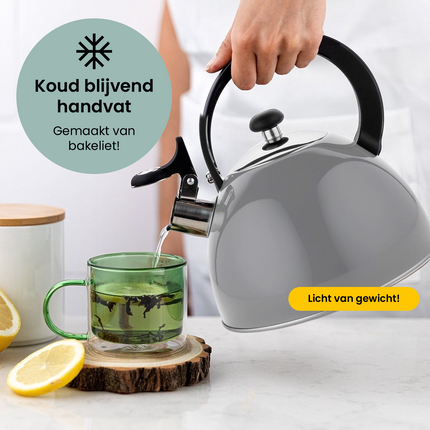 2de kansje Florina Brillo fluitketel RVS donkergrijs 2.5 Liter - ook geschikt voor inductie
