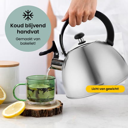 2de kansje Florina Brillo fluitketel geborsteld RVS zilver 2.5 Liter - ook geschikt voor inductie
