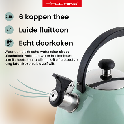 Florina Brillo fluitketel RVS mint groen 2.5 Liter - ook geschikt voor inductie