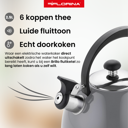2de kansje Florina Brillo fluitketel RVS donkergrijs 2.5 Liter - ook geschikt voor inductie