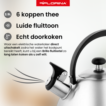 2de kansje Florina Brillo fluitketel geborsteld RVS zilver 2.5 Liter - ook geschikt voor inductie
