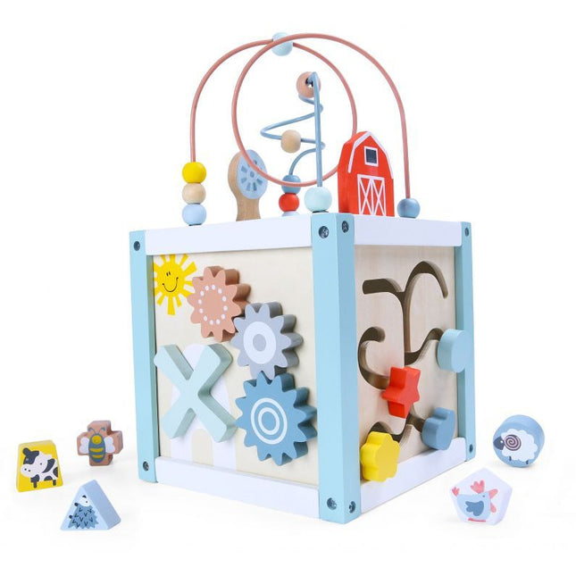 Ecotoys houten activiteiten kubus sorteerder - Educatief speelgoed voor handvaardigheid ontwikkeling - Geschikt vanaf 18 maanden