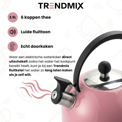 Trendmix Fluitketel Roze 2,5 Liter – Lichtgewicht RVS – Cool-Touch Handvat – Geschikt Voor Inductie, Gas En Alle Warmtebronnen