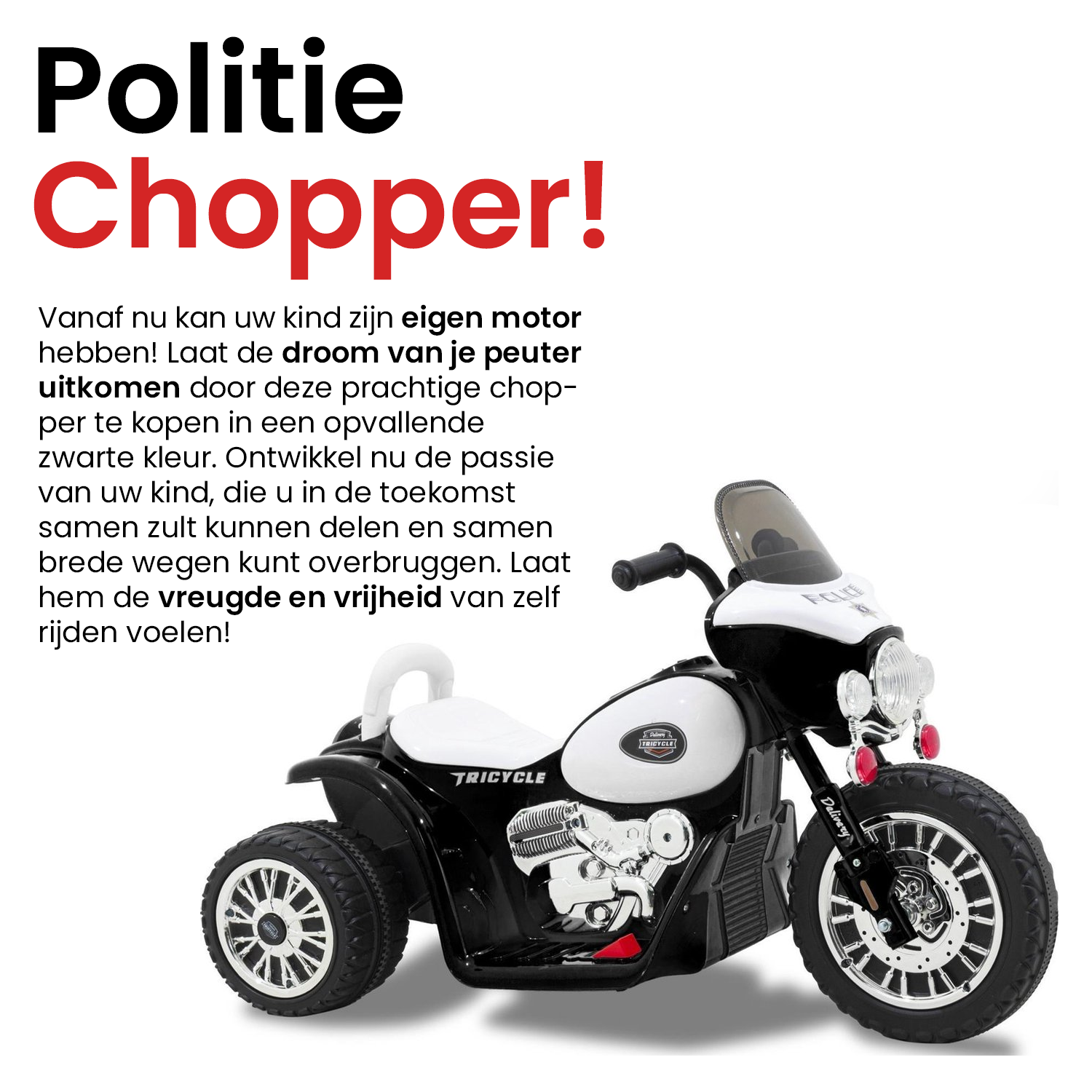 Tricycle 2024 with motor