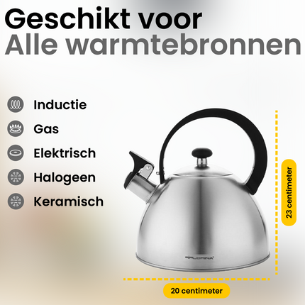 2de kansje Florina Brillo fluitketel geborsteld RVS zilver 2.5 Liter - ook geschikt voor inductie