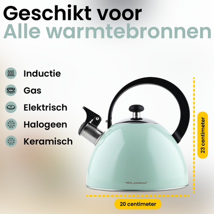 Florina Brillo fluitketel RVS mint groen 2.5 Liter - ook geschikt voor inductie