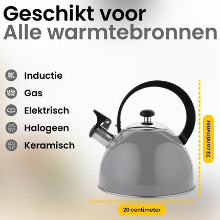 2de kansje Florina Brillo fluitketel RVS donkergrijs 2.5 Liter - ook geschikt voor inductie