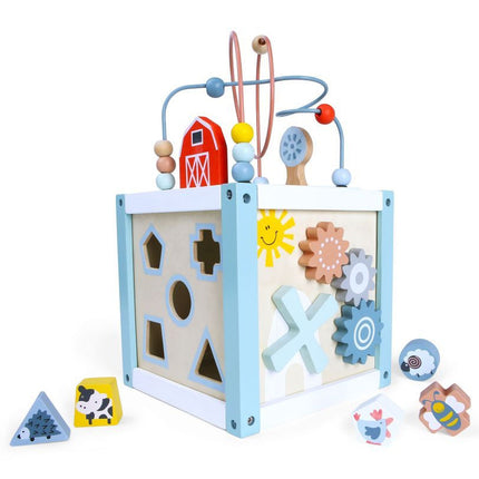 Ecotoys houten activiteiten kubus sorteerder - Educatief speelgoed voor handvaardigheid ontwikkeling - Geschikt vanaf 18 maanden
