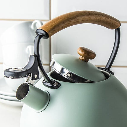 Florina Natura Line fluitketel RVS mat mint groen 2.3 Liter - ook geschikt voor inductie