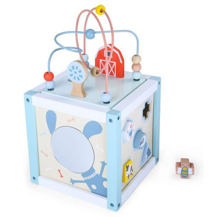 Ecotoys houten activiteiten kubus sorteerder - Educatief speelgoed voor handvaardigheid ontwikkeling - Geschikt vanaf 18 maanden