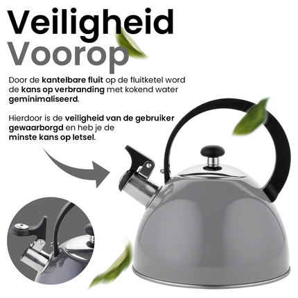 2de kansje Florina Brillo fluitketel RVS donkergrijs 2.5 Liter