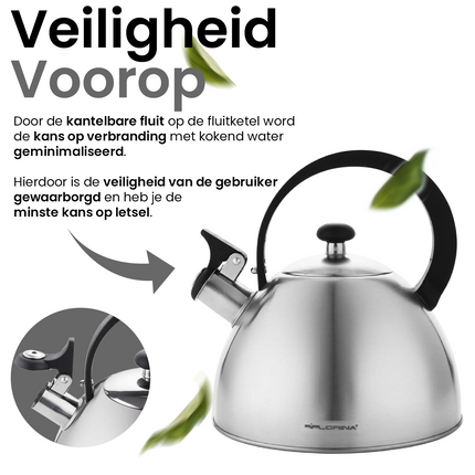 2de kansje Florina Brillo fluitketel geborsteld RVS zilver 2.5 Liter - ook geschikt voor inductie