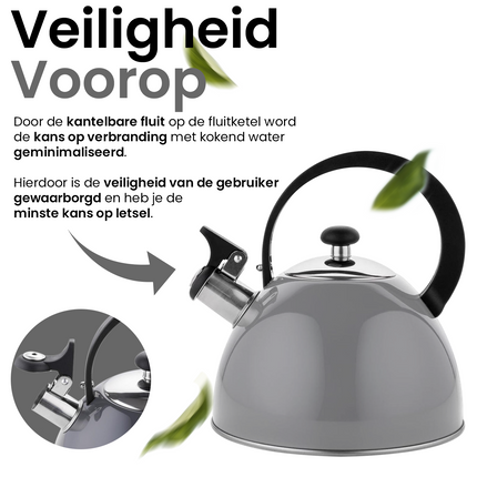 2de kansje Florina Brillo fluitketel RVS donkergrijs 2.5 Liter - ook geschikt voor inductie