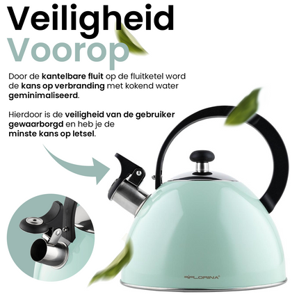 2de kansje Florina Brillo fluitketel RVS mint groen 2.5 Liter