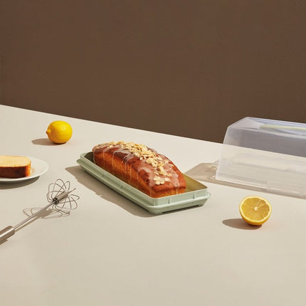 Dunya Lock & Fresh Langwerpige Taart en Cake Bewaardoos - Taartdoos - Taartplateau - Vershouddoos - Gemakkelijk Mee te Nemen - 36cm