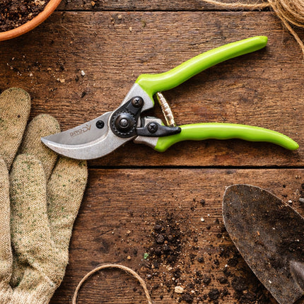 Snoeischaar voor Planten en Struiken – Tuinschaar – Snoeischaar voor Verse Takken – Ergonomische Handgreep – 22 cm
