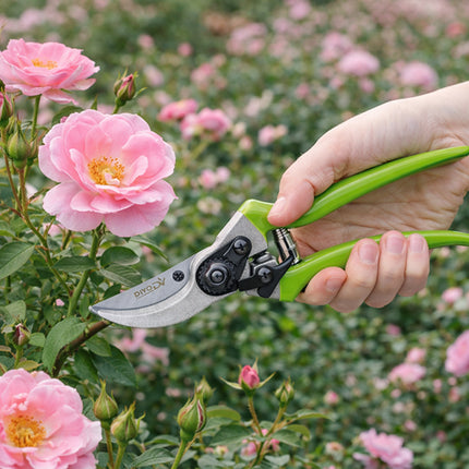 Snoeischaar voor Planten en Struiken – Tuinschaar – Snoeischaar voor Verse Takken – Ergonomische Handgreep – 22 cm