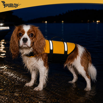 Reddingsvest Hond M – Honden Zwemvest 7-10 kg – Veiligheidsvest voor Honden – Reflecterend – Geel