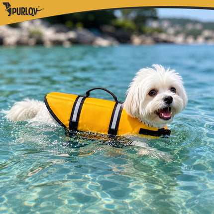 Reddingsvest Hond S – Honden Zwemvest 4-7 kg – Veiligheidsvest voor Honden – Reflecterend – Geel