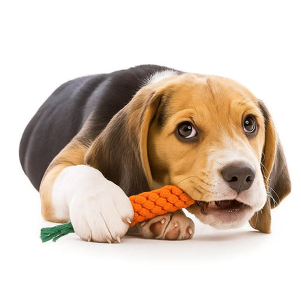 Hondenspeelgoed Set 16-delig – Kauwspeelgoed – Trekspeelgoed – Touwspeelgoed – Frisbee – Speelgoed voor Puppy en Hond