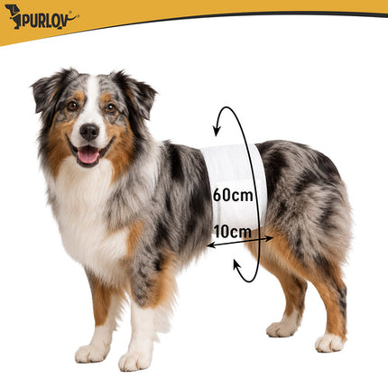Honden Luier voor Reuen L 12 Stuks – Wegwerpluiers voor Reu – Buikband – Incontinentie – Buikomvang 45-60 cm
