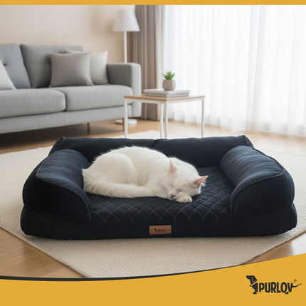 Orthopedische Hondenmand M 80 x 65 cm – Ergonomisch Hondenbed met Traagschuim – Wasbare Hoes – Antislip – Zwart