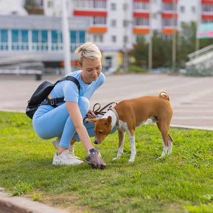 Puppy Trainingspads 100 Stuks 60 x 60 cm – Puppy Onderleggers – Zindelijkheidstraining – Absorberende Puppy Pads – Inclusief 30 Poepzakjes