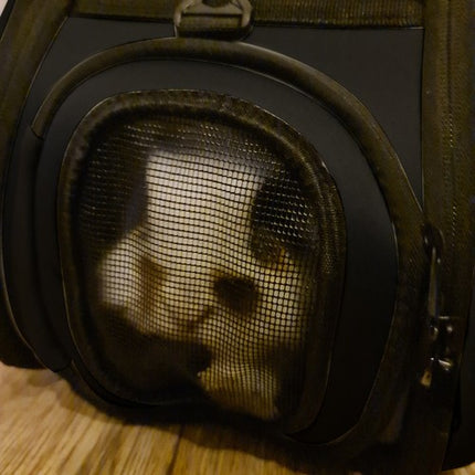 Purlov opvouwbare draagtas voor honden, katten en knaagdieren tot 6 kg zwart