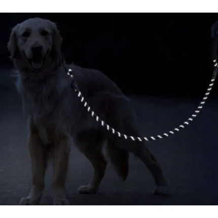 Trainingslijn Hond 5 Meter – Reflecterende Hondenriem – 12 mm Dik Touw – Zwart