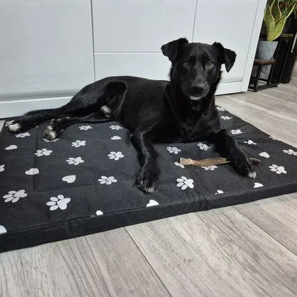 Hondenmand XXL 100 x 70 cm – Groot Hondenbed met Afneembare Wasbare Hoes