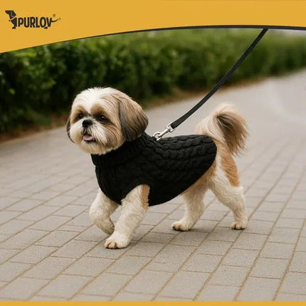 Hondentrui Maat L – Warme Gebreide Wintertrui met Col – Voor Hond & Kat