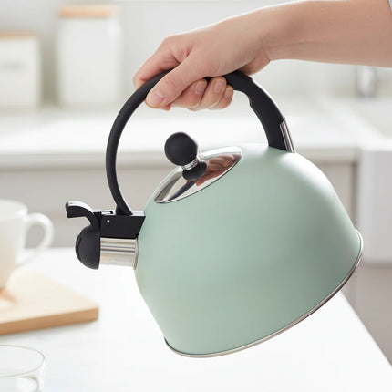 Altom Design Fluitketel RVS 2.5L – Mat Mint Groen – Voor Inductie – Met Fluitje & Koel Handvat – Alle Warmtebronnen