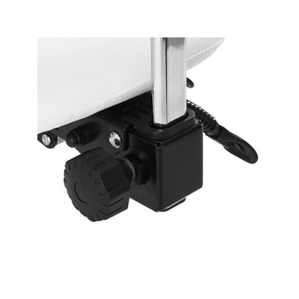 Giovanni 1004 cosmetische zadelkruk – Goud/Wit – Ergonomisch – Met verstelbare rugleuning – 50–64 cm – Professioneel gebruik