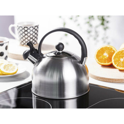 Altom Design Daily fluitketel geborsteld RVS satijn zilver 2.5 Liter - ook geschikt voor inductie