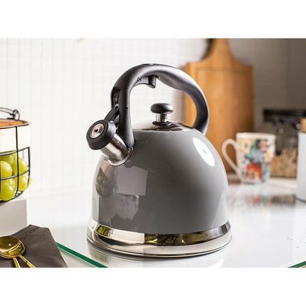 Altom Design Connor fluitketel RVS grijs hoogglans 3 Liter - ook geschikt voor inductie