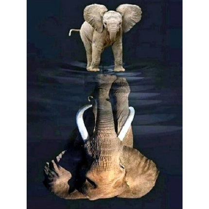 Evershine diamond painting voor volwassenen olifant TA2-3236 vierkante steentjes 20 X 30