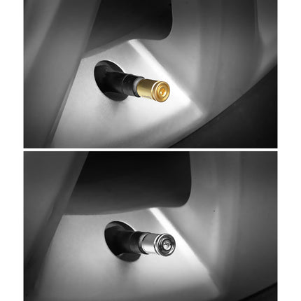 TT-products ventieldoppen Sport Anti-theft Chrome antidiefstal 4 stuks zilver