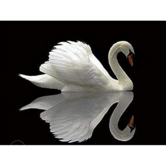 Collection image for: Diamond painting