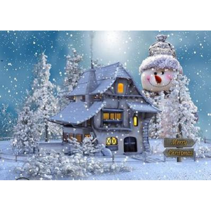 Diamond painting voor volwassenen sneeuwpop naast huis 30 X 40 cm met vierkante steentjes - Volledig pakket - M2099-4
