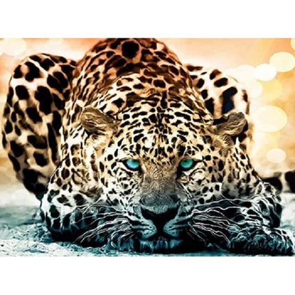 VSE Diamond painting -  Luipaard - 30 X 40 cm - Vierkante steentjes - Voor volwassenen -  Diamant schilderen - Volledig pakket - M2862-3