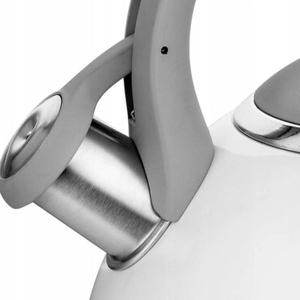 Florina Madio Premium Line fluitketel RVS wit / grijs 2.5 Liter - ook geschikt voor inductie