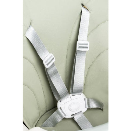 Kruzzel 3 in 1 kinderstoel met 5 punts veiligheidsgordel - feeding chair - licht groen